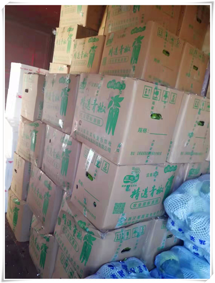 bti体育平台·(中国)官方网站