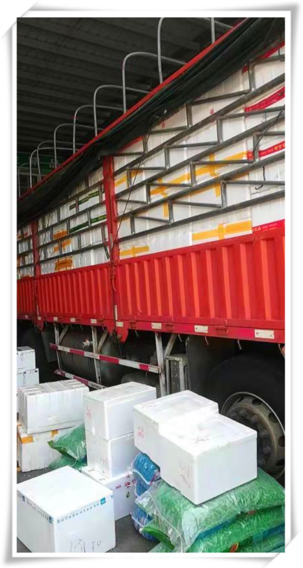 bti体育平台·(中国)官方网站