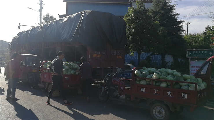 bti体育平台·(中国)官方网站