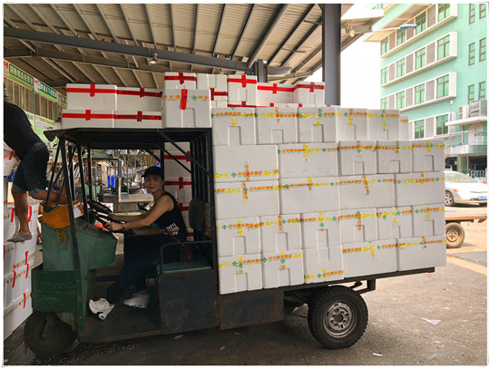 bti体育平台·(中国)官方网站