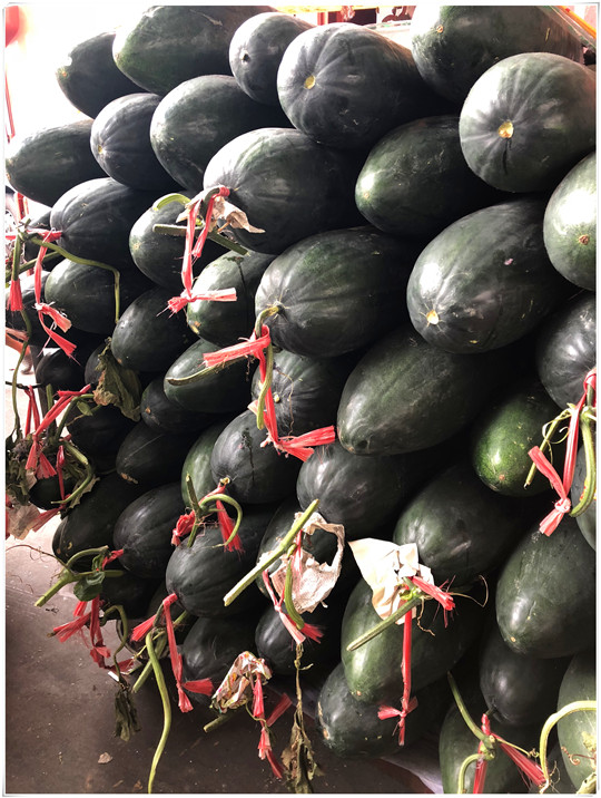 bti体育平台·(中国)官方网站