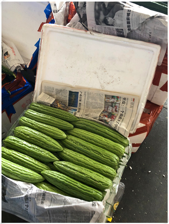 bti体育平台·(中国)官方网站