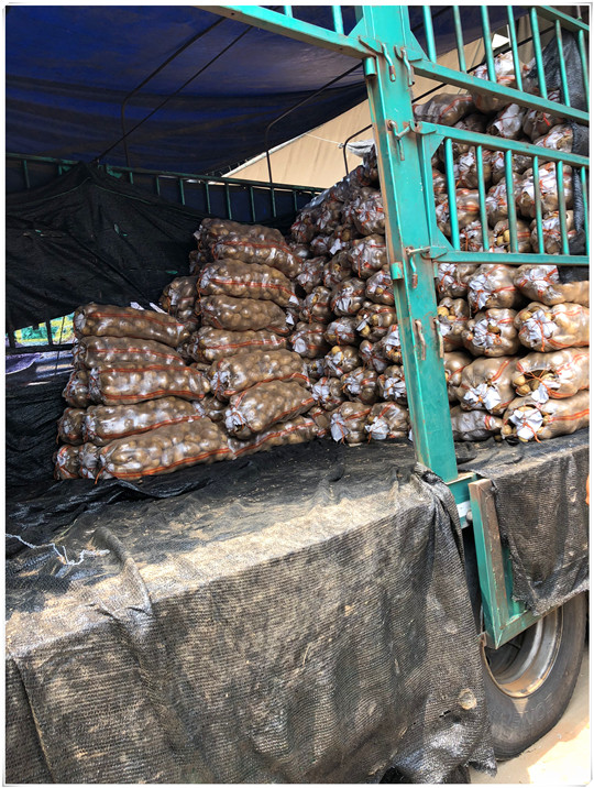 bti体育平台·(中国)官方网站