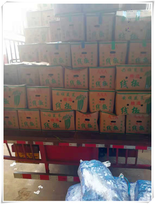 bti体育平台·(中国)官方网站