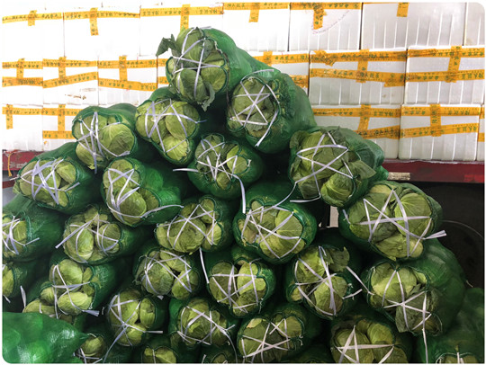 bti体育平台·(中国)官方网站