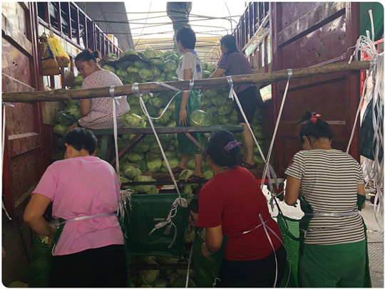 bti体育平台·(中国)官方网站