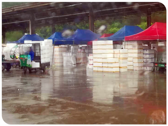 bti体育平台·(中国)官方网站