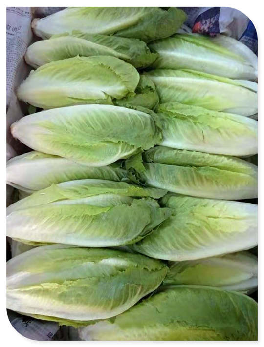 bti体育平台·(中国)官方网站