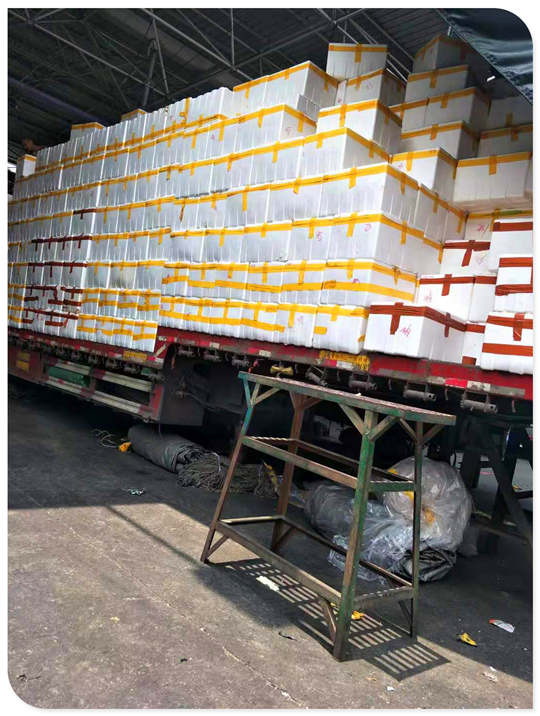 bti体育平台·(中国)官方网站