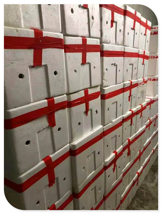 bti体育平台·(中国)官方网站