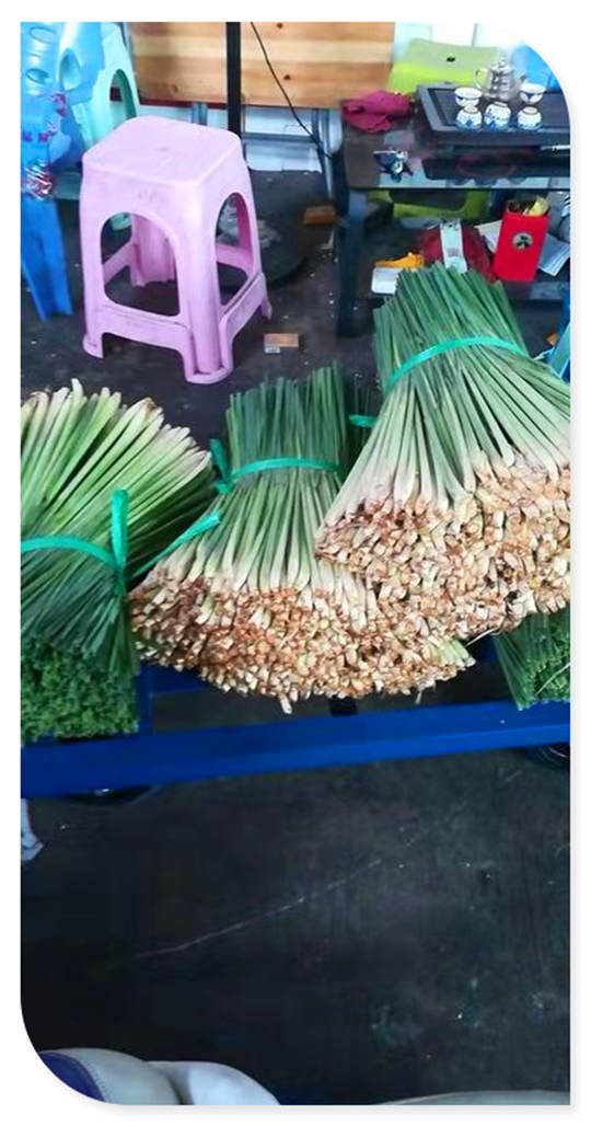 bti体育平台·(中国)官方网站