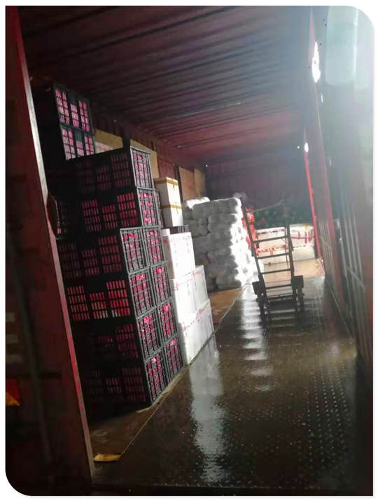 bti体育平台·(中国)官方网站