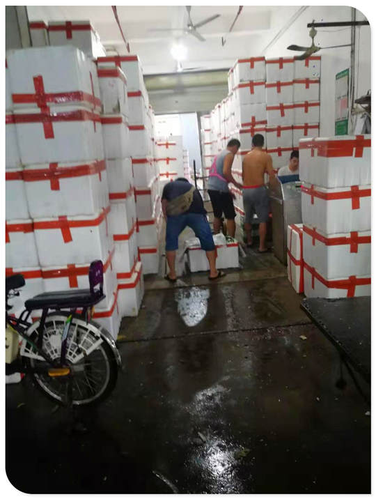 bti体育平台·(中国)官方网站