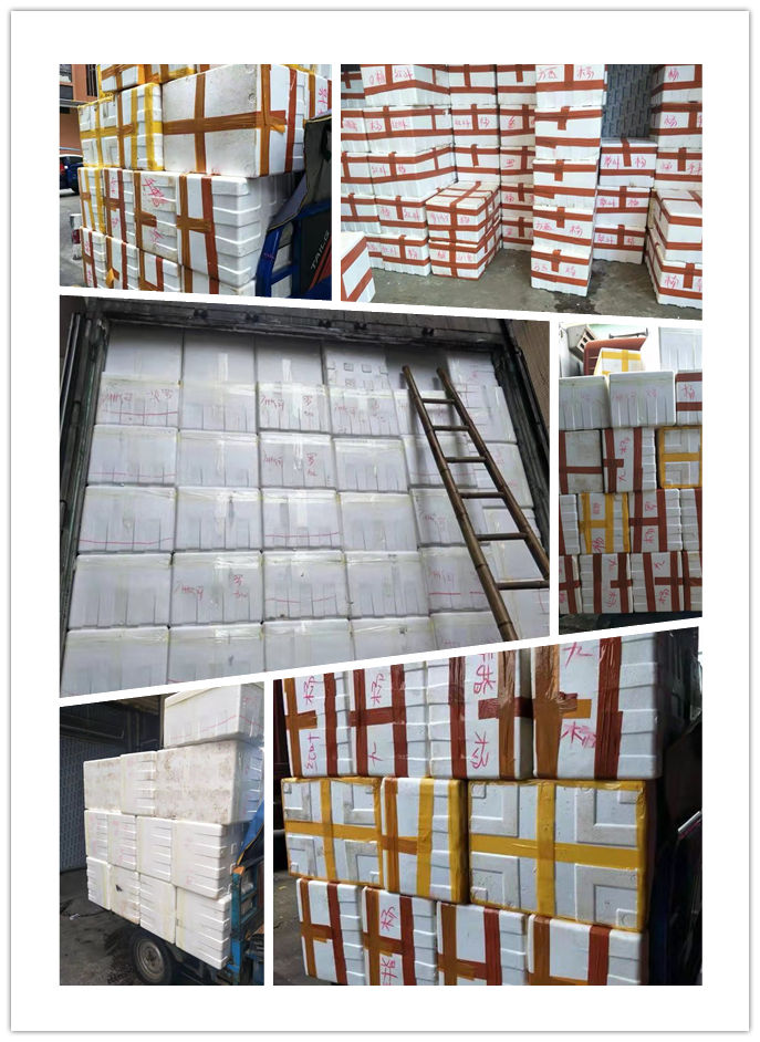 bti体育平台·(中国)官方网站