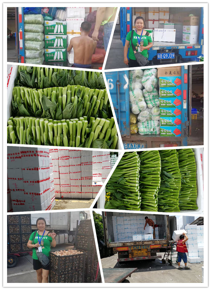 bti体育平台·(中国)官方网站