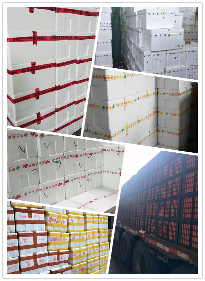 bti体育平台·(中国)官方网站