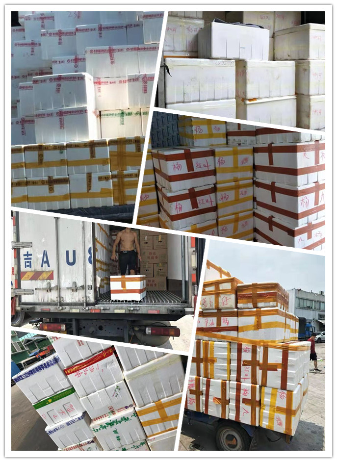 bti体育平台·(中国)官方网站