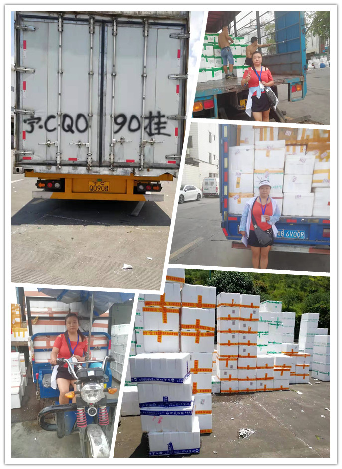 bti体育平台·(中国)官方网站