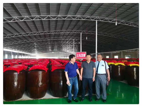 bti体育平台·(中国)官方网站