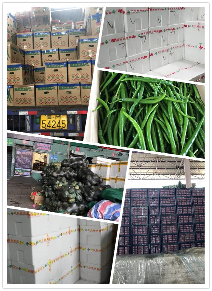 bti体育平台·(中国)官方网站