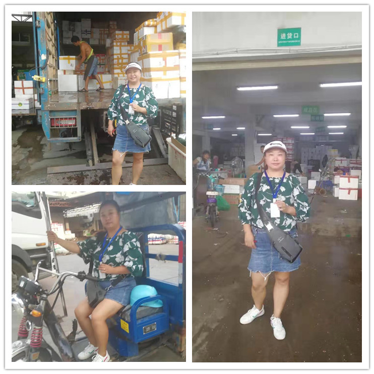 bti体育平台·(中国)官方网站