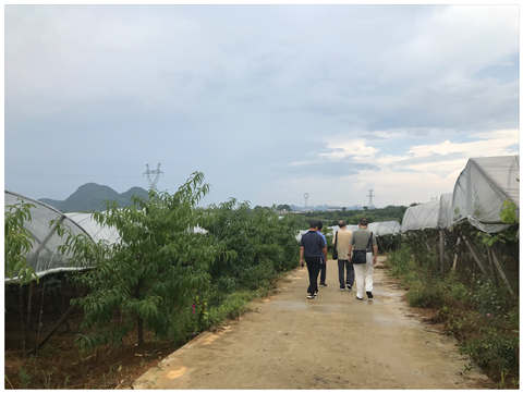 bti体育平台·(中国)官方网站