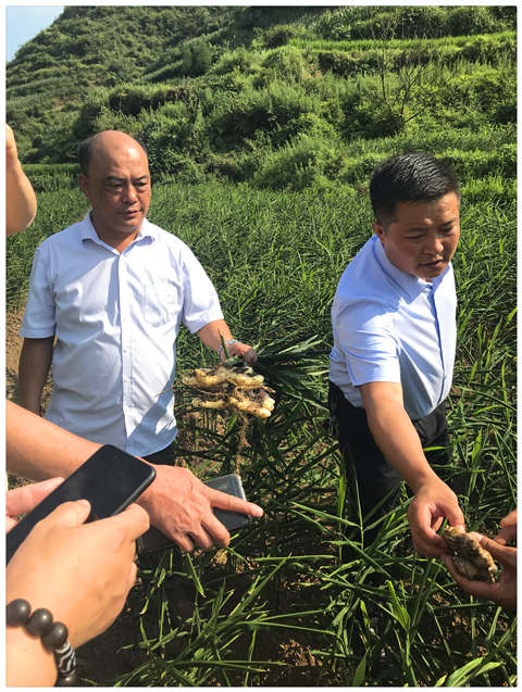 bti体育平台·(中国)官方网站