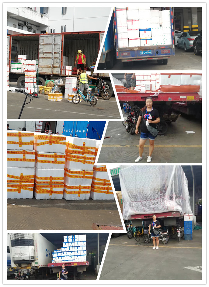 bti体育平台·(中国)官方网站