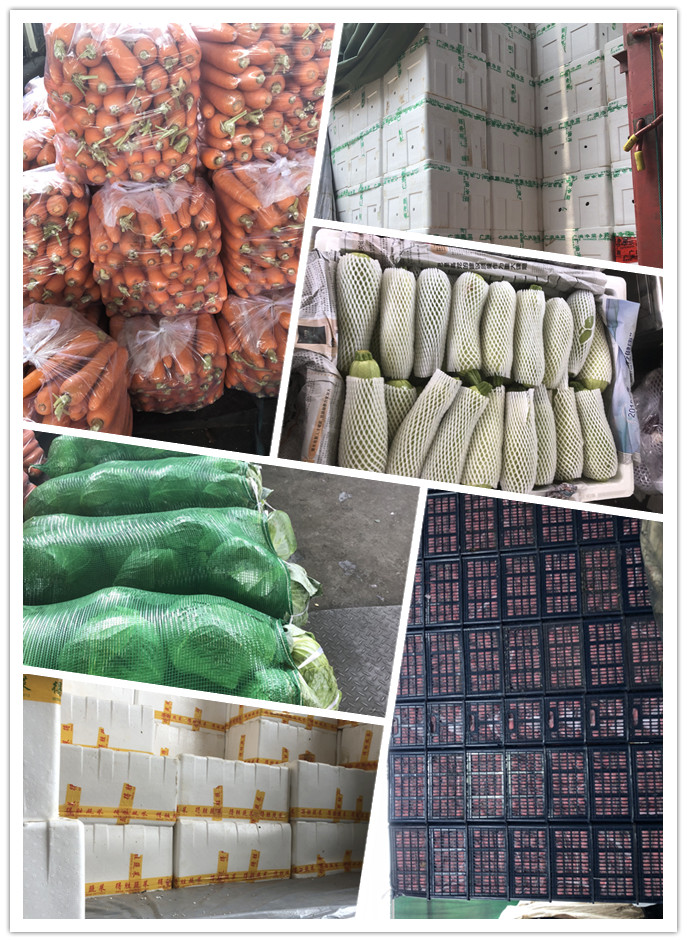 bti体育平台·(中国)官方网站