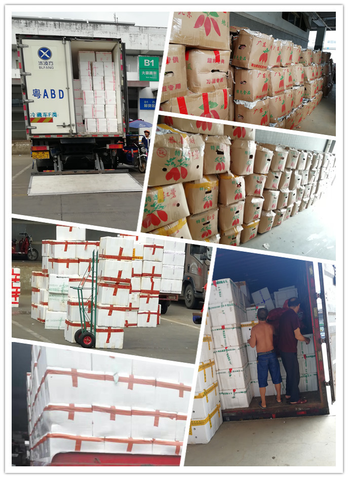 bti体育平台·(中国)官方网站