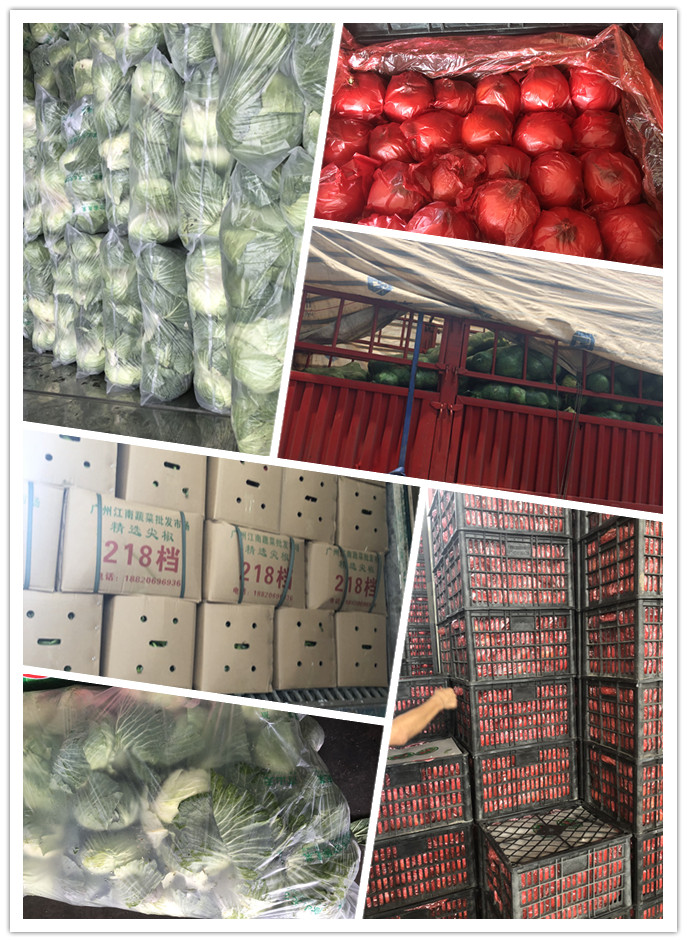 bti体育平台·(中国)官方网站