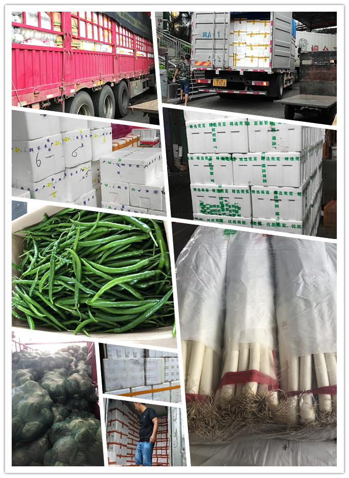 bti体育平台·(中国)官方网站