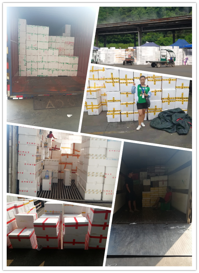 bti体育平台·(中国)官方网站