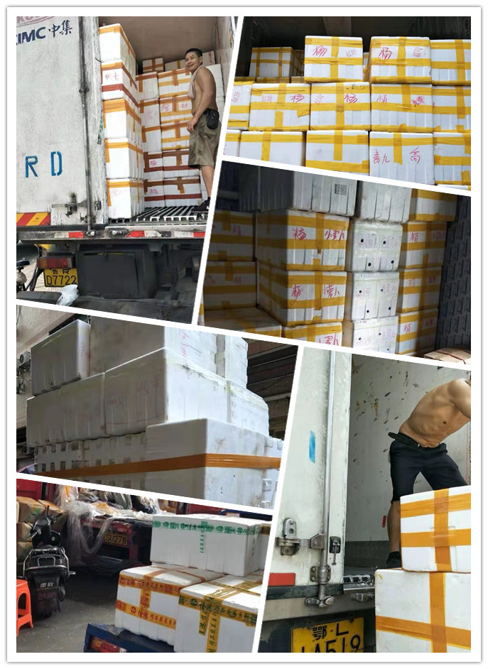 bti体育平台·(中国)官方网站