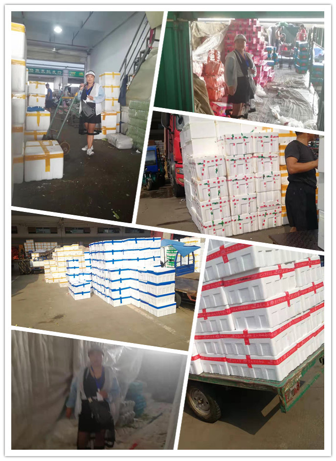 bti体育平台·(中国)官方网站