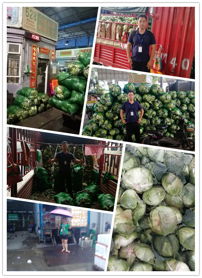 bti体育平台·(中国)官方网站