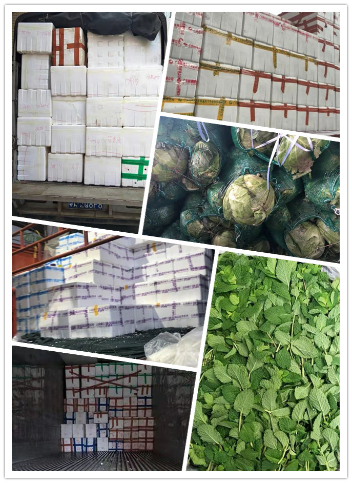 bti体育平台·(中国)官方网站