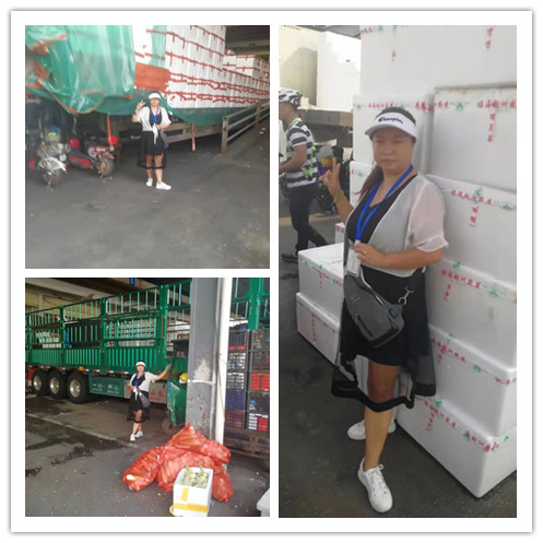 bti体育平台·(中国)官方网站