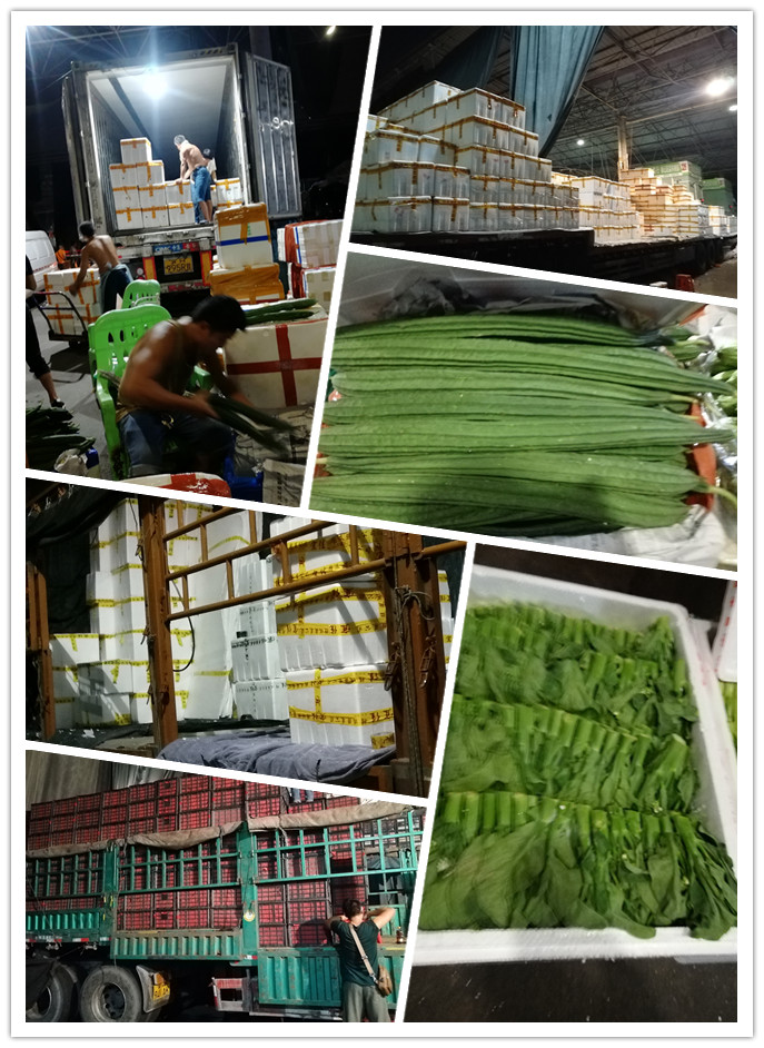 bti体育平台·(中国)官方网站