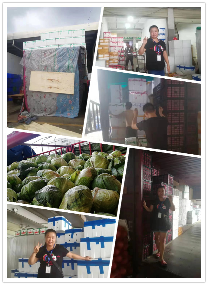 bti体育平台·(中国)官方网站