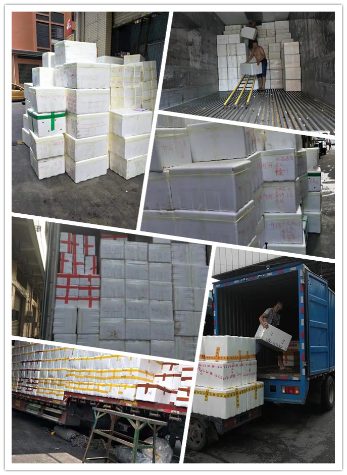 bti体育平台·(中国)官方网站