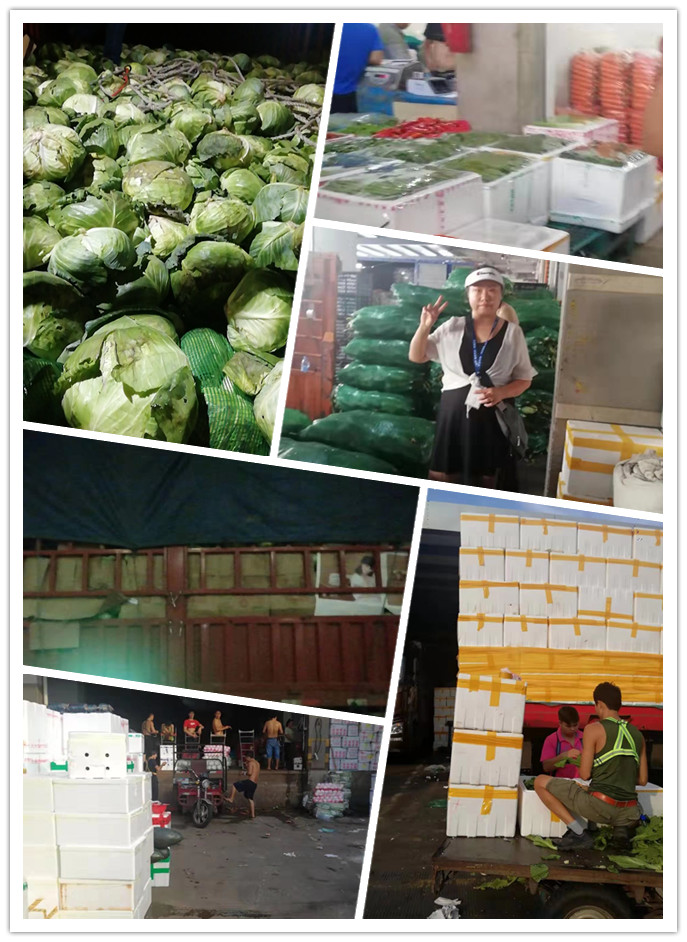 bti体育平台·(中国)官方网站