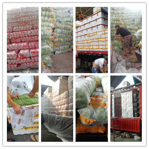 bti体育平台·(中国)官方网站