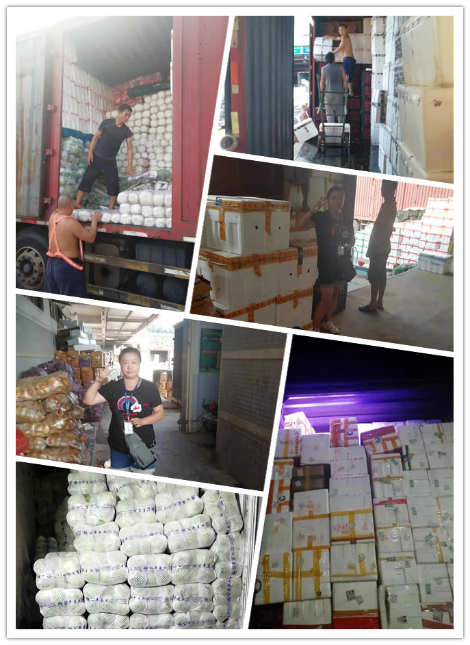 bti体育平台·(中国)官方网站