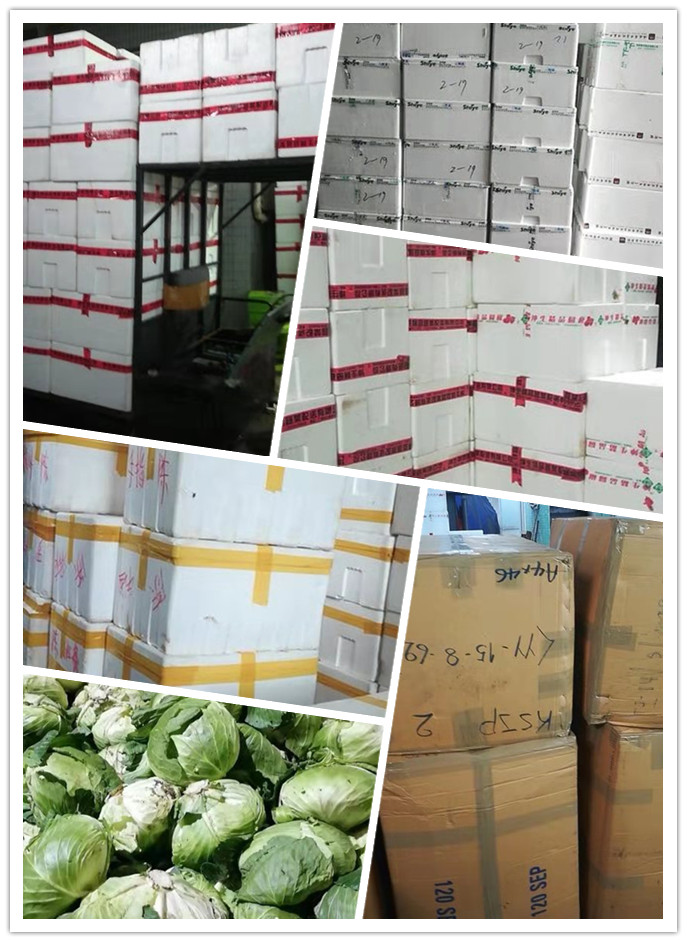 bti体育平台·(中国)官方网站