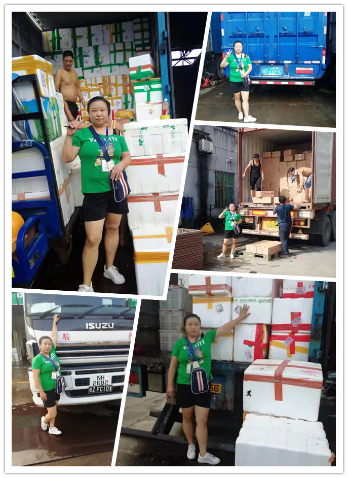 bti体育平台·(中国)官方网站