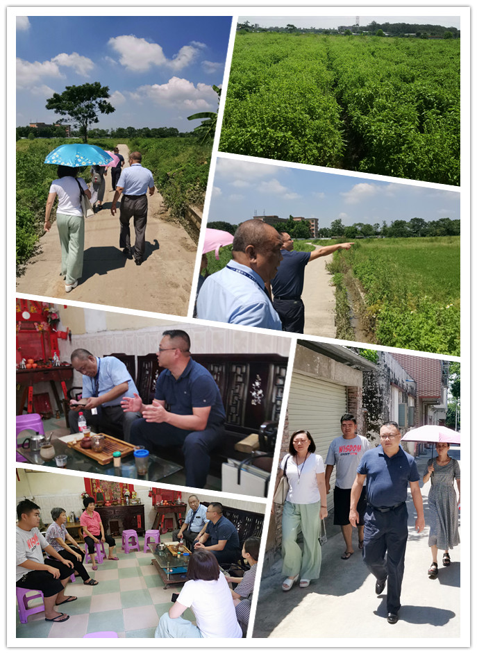 bti体育平台·(中国)官方网站