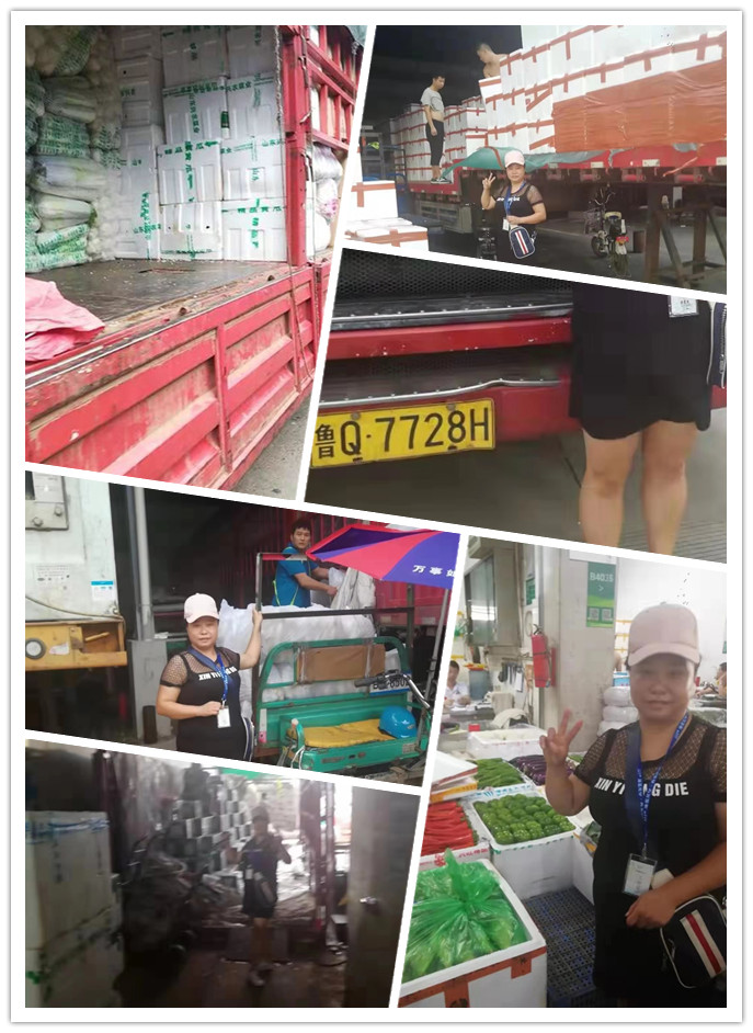 bti体育平台·(中国)官方网站