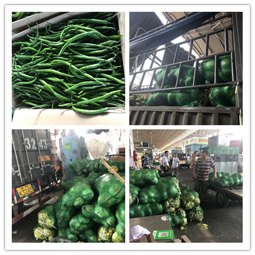 bti体育平台·(中国)官方网站