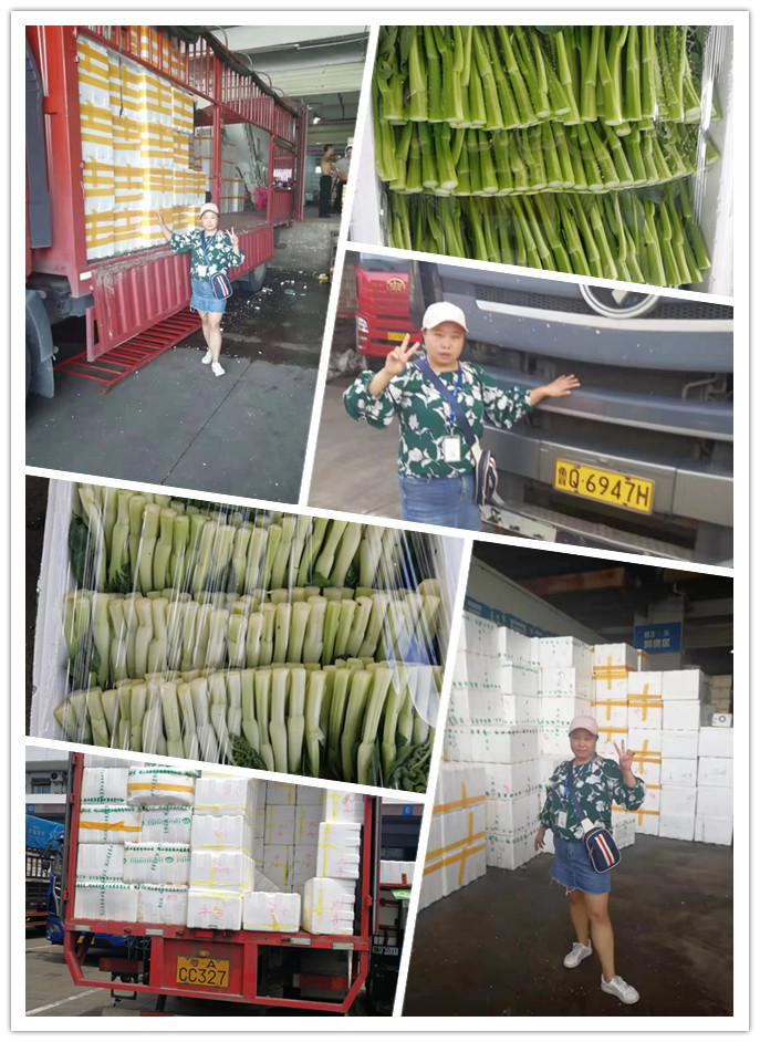 bti体育平台·(中国)官方网站